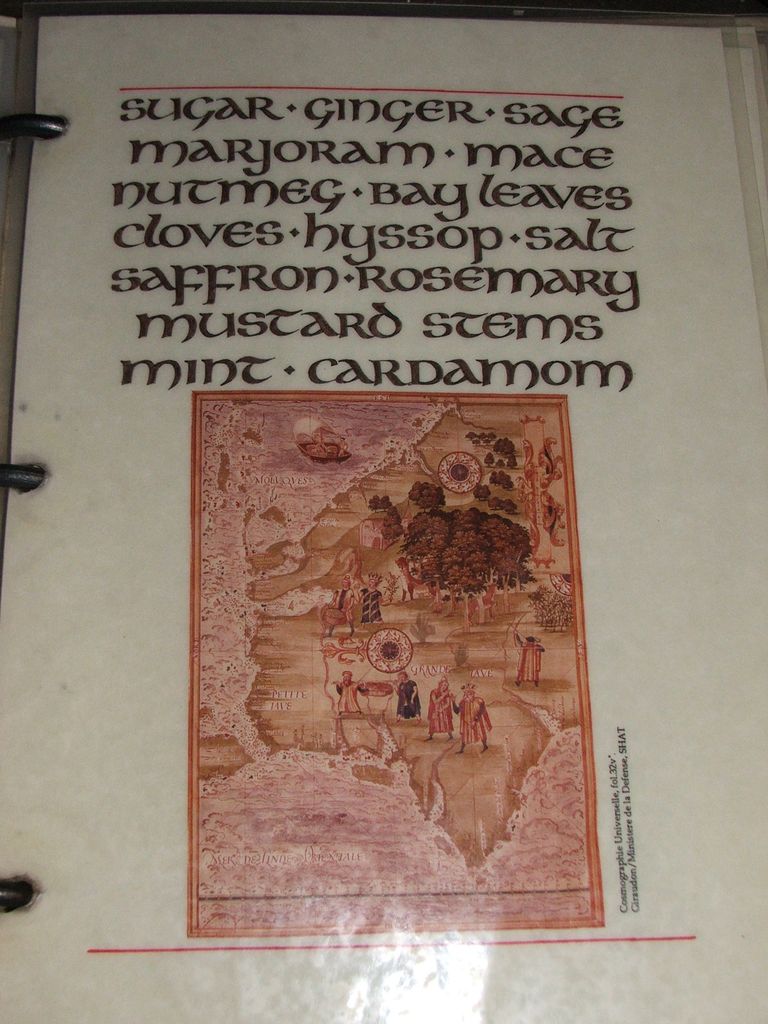 Stirling castle (72)